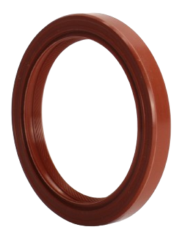 Oil Seal Supplier
